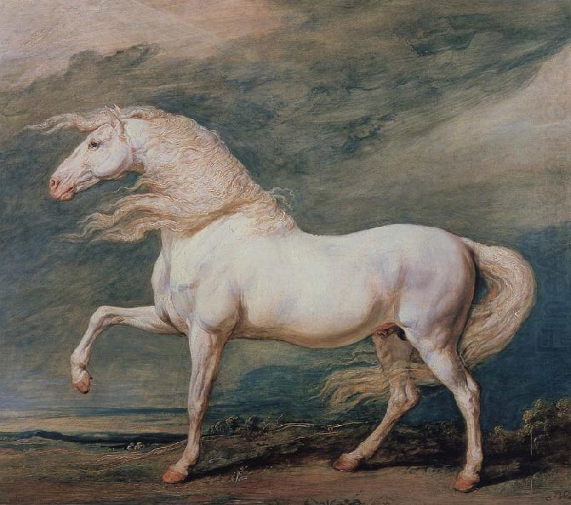 Adonis, King George ill's it Favourite Charger, Edward Bower